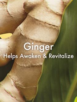 Origins Ginger Essence™ Sensuous Skin Scent - view 2, 