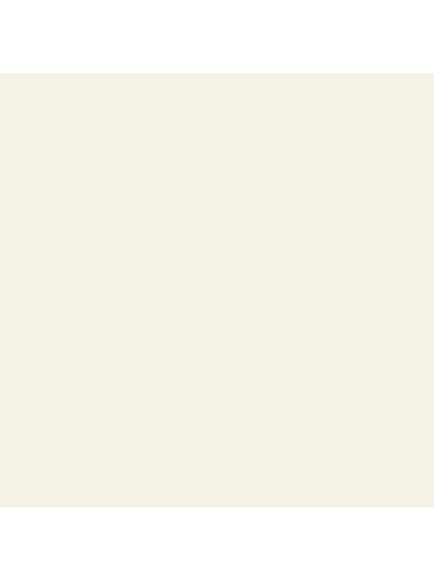 The Little Greene Paint Company Absolute Matt Emulsion Tester Pot, Whitening (41)