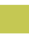 The Little Greene Paint Company Absolute Matt Emulsion, Mid Greens