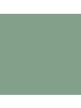 The Little Greene Paint Company Absolute Matt Emulsion Greens Tester Pot, Aquamarine Deep (198)