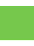 The Little Greene Paint Company Absolute Matt Emulsion Greens & Bright Yellows Tester Pot, Phthalo Green (199)