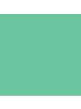 The Little Greene Paint Company Absolute Matt Emulsion Greens & Bright Yellows Tester Pot, Green Verditer (92)