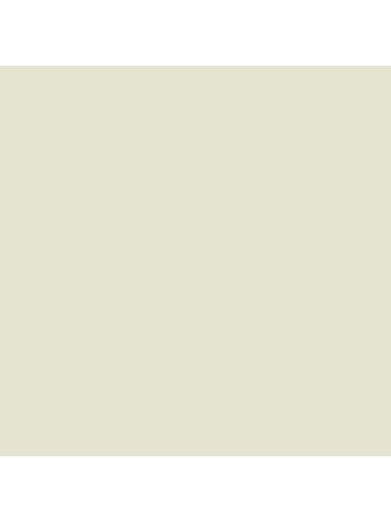 The Little Greene Paint Company Intelligent Matt Emulsion, Pale Greens, Mirror (219)
