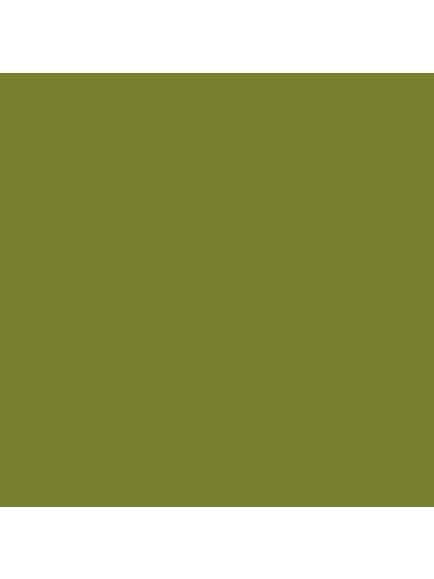 The Little Greene Paint Company Intelligent Matt Emulsion, Mid Greens, Citrine (71)