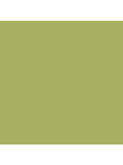 The Little Greene Paint Company Intelligent Matt Emulsion, Mid Greens, Boxington (84)