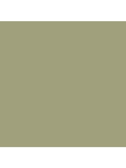 The Little Greene Paint Company Intelligent Eggshell, Mid Greens, Normandy Grey (79)