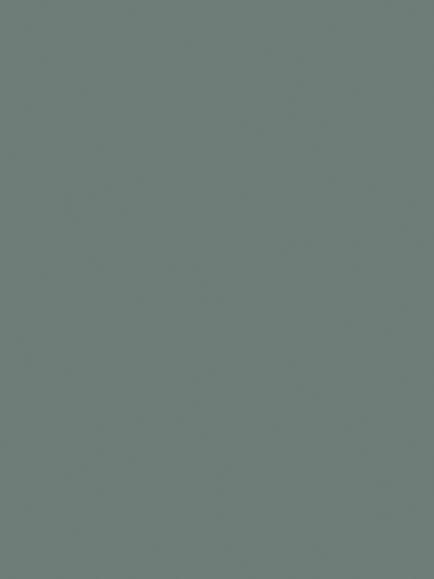 The Little Greene Paint Company Intelligent Matt Emulsion, Strong Greens, Livid (263)