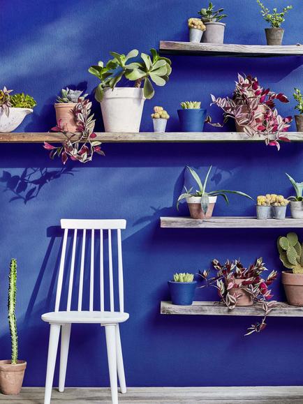 The Little Greene Paint Company Absolute Matt Emulsion, Strong Blues - view 2, Smalt (255)
