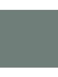 The Little Greene Paint Company Intelligent Eggshell, Strong Greens, Livid (263)