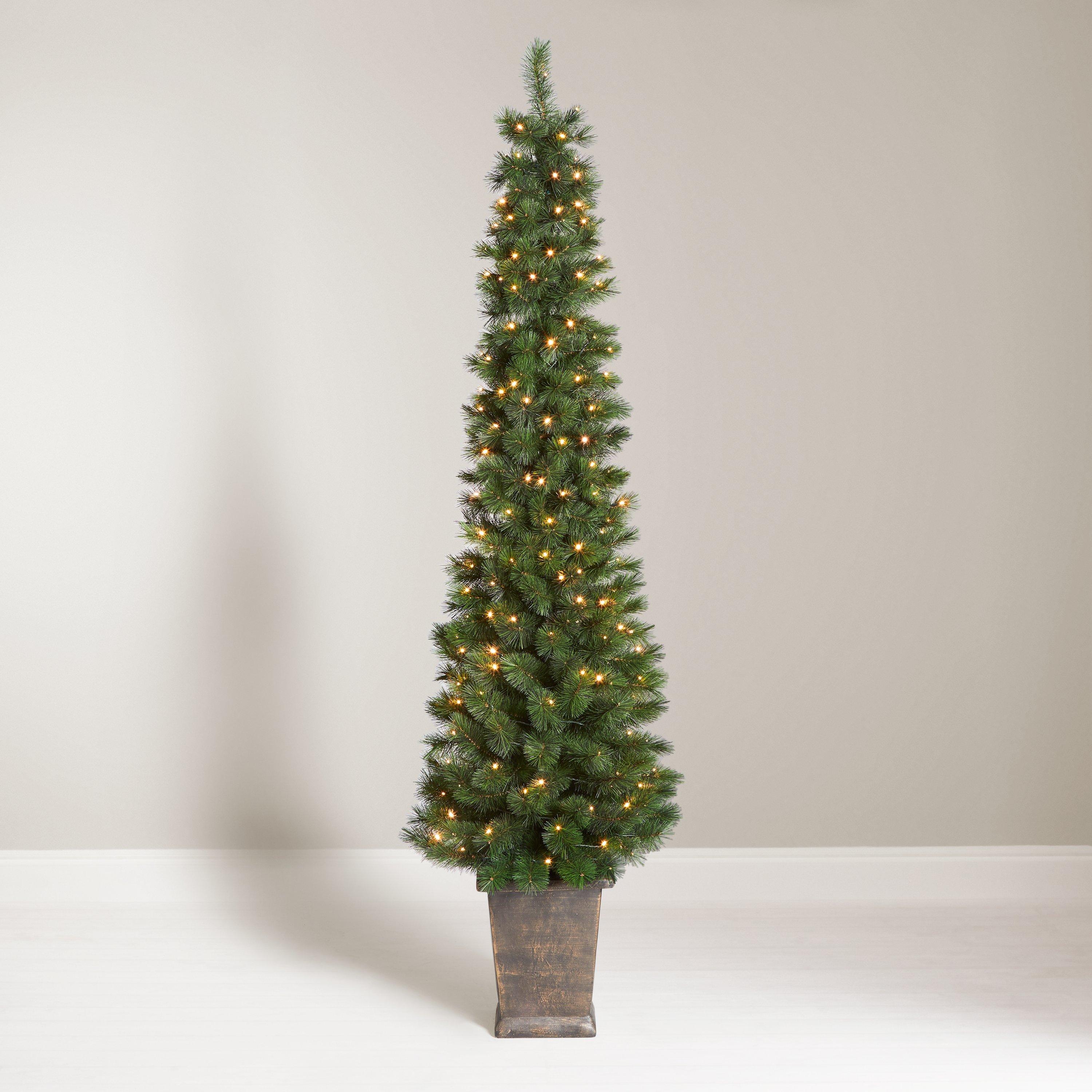 John Lewis & Partners Pencil Pine Potted Pre-lit Christmas Tree, 5ft