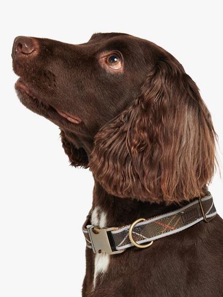 Barbour Reflective Tartan Dog Collar, Multi