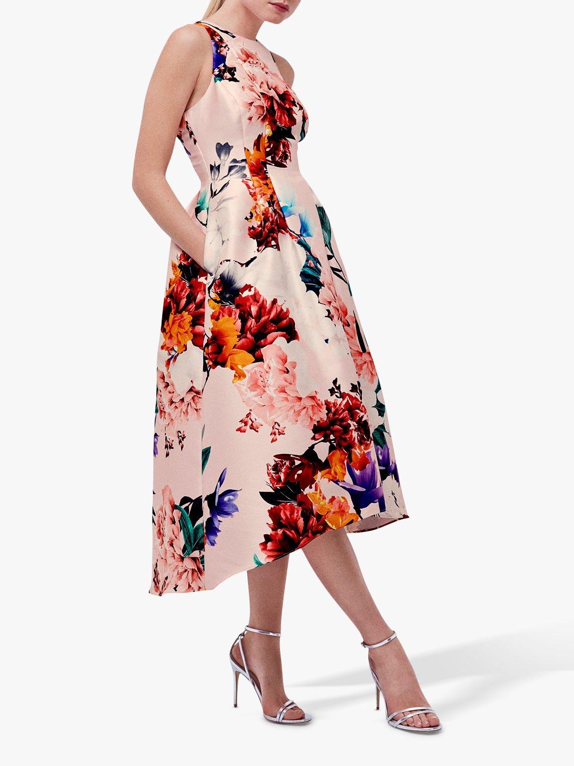 Coast betty midi dress best sale