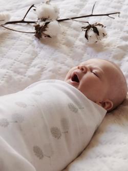 Purebaby Muslin Wrap, Pack of 2, Pale Grey - view 2, Pale Grey Print