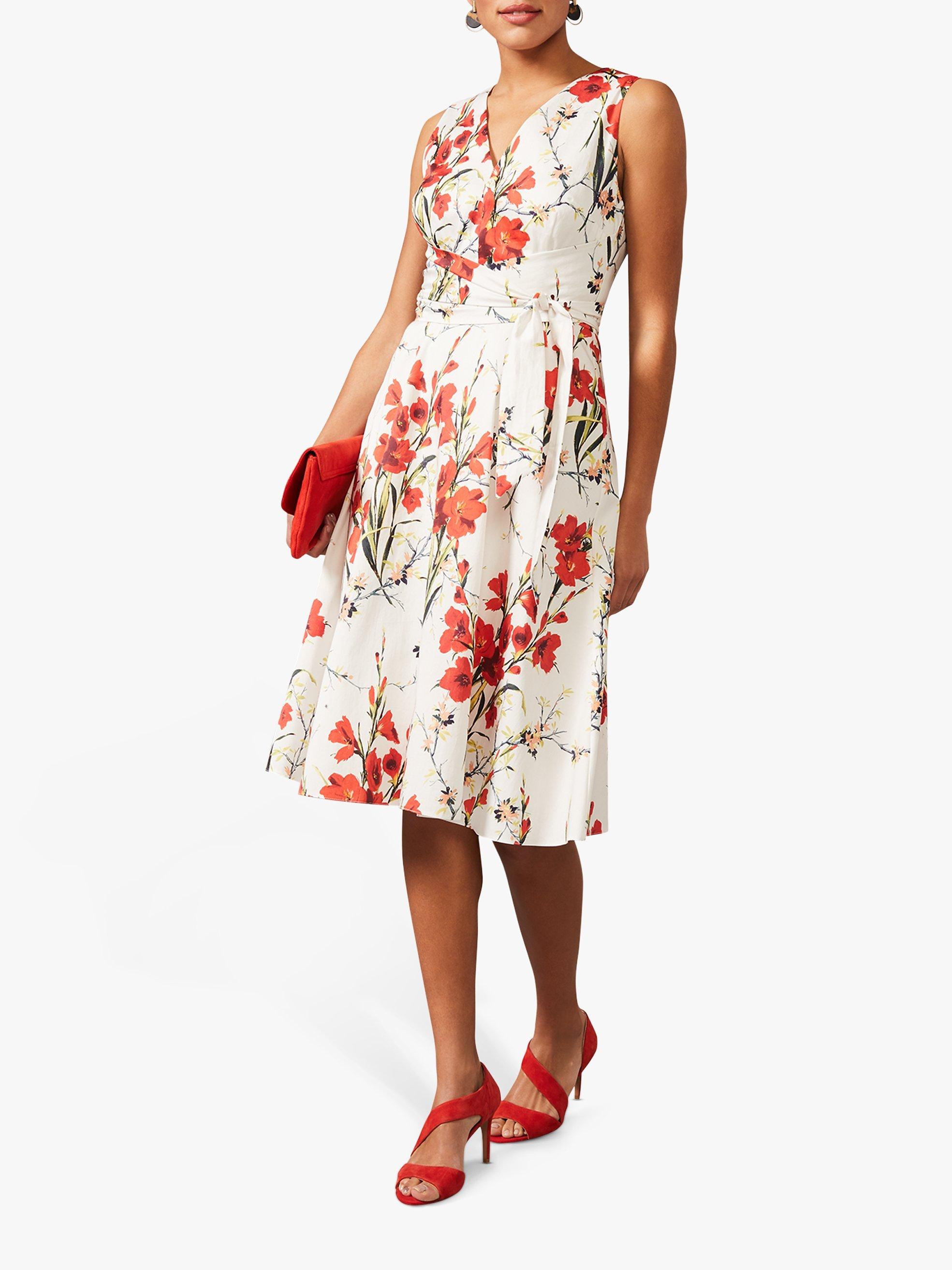 Phase Eight Sofia Floral Print Cotton Midi Dress, Ivory/Fire