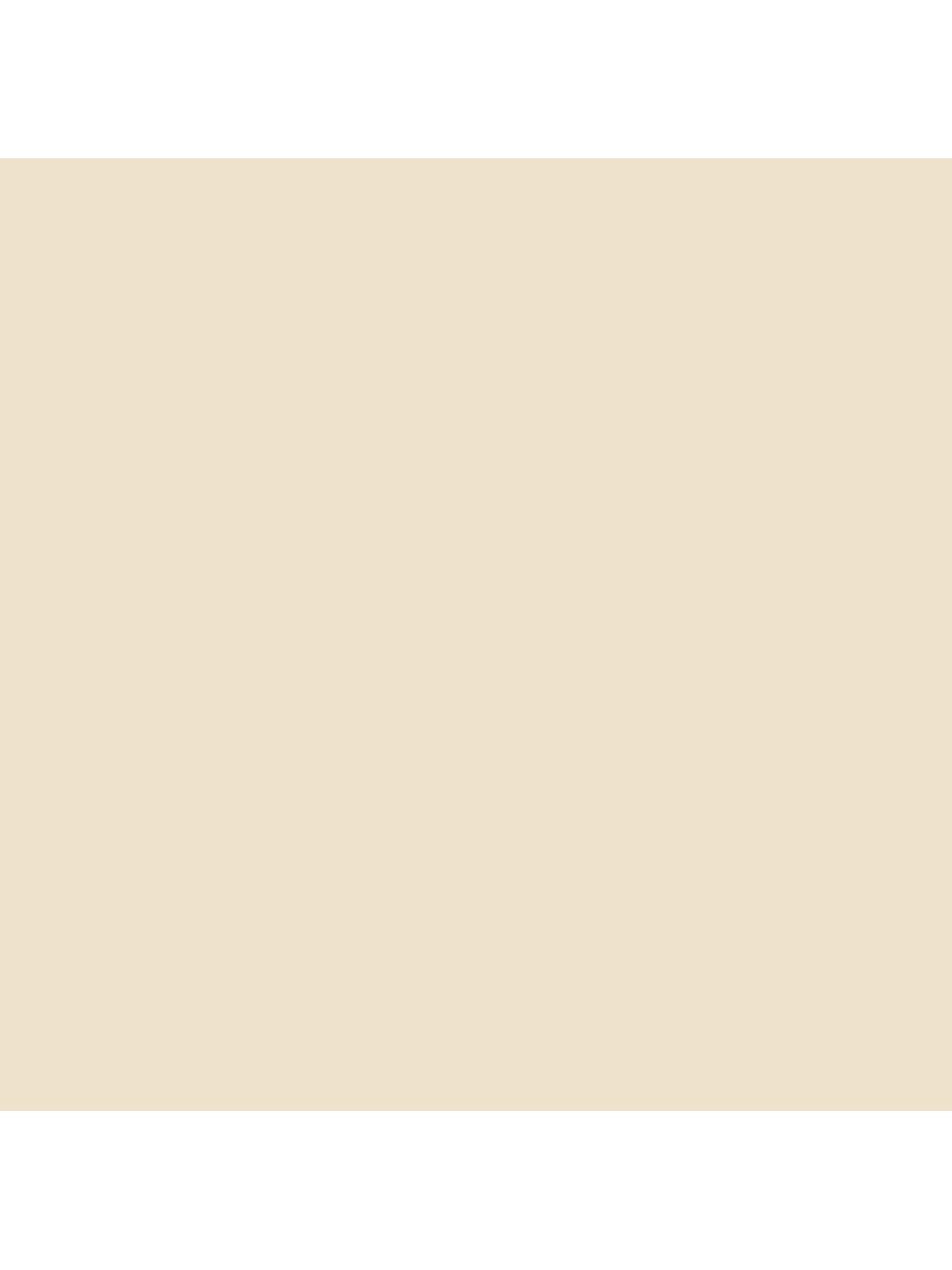 Sanderson Active Emulsion, Naturals, Pale Parchment Light, 2.5L