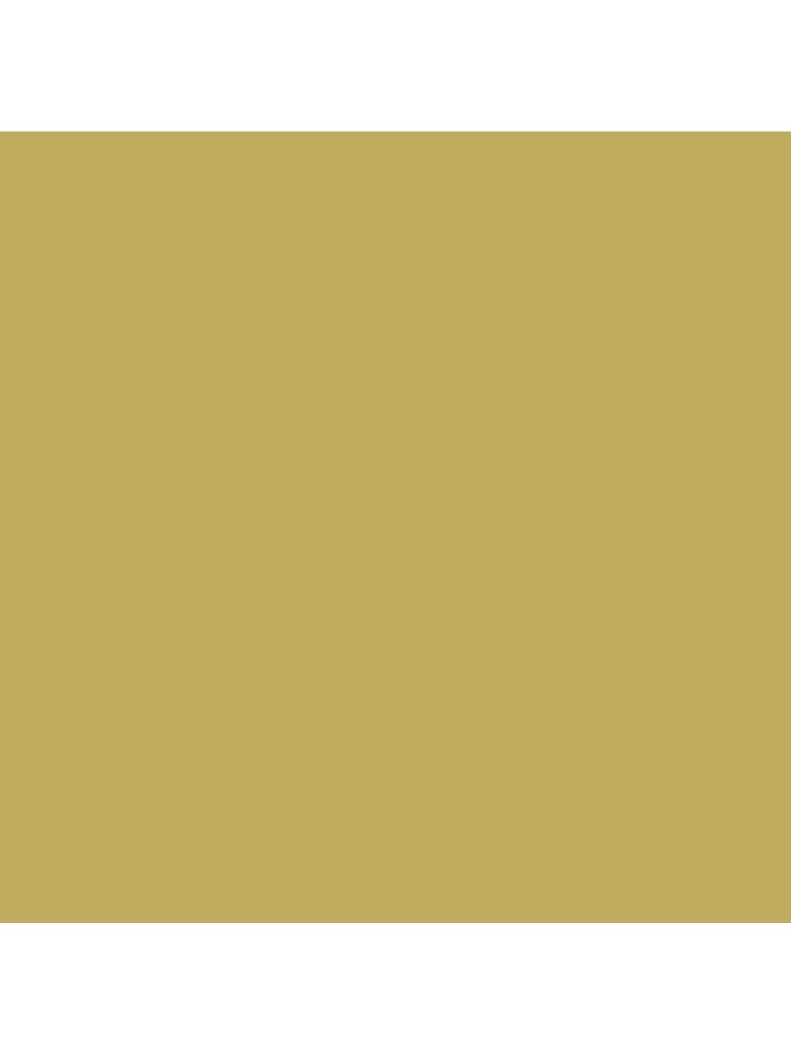 Sanderson Active Emulsion, Yellows, Woodland Yellow, 2.5L