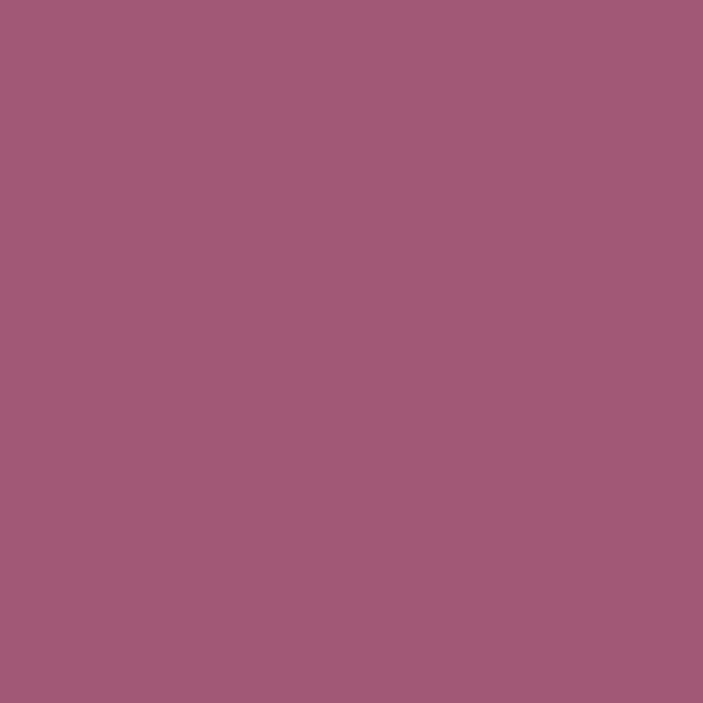 Sanderson Water Based Acrylic Eggshell, Purples, Wild Plum Light, 2.5L