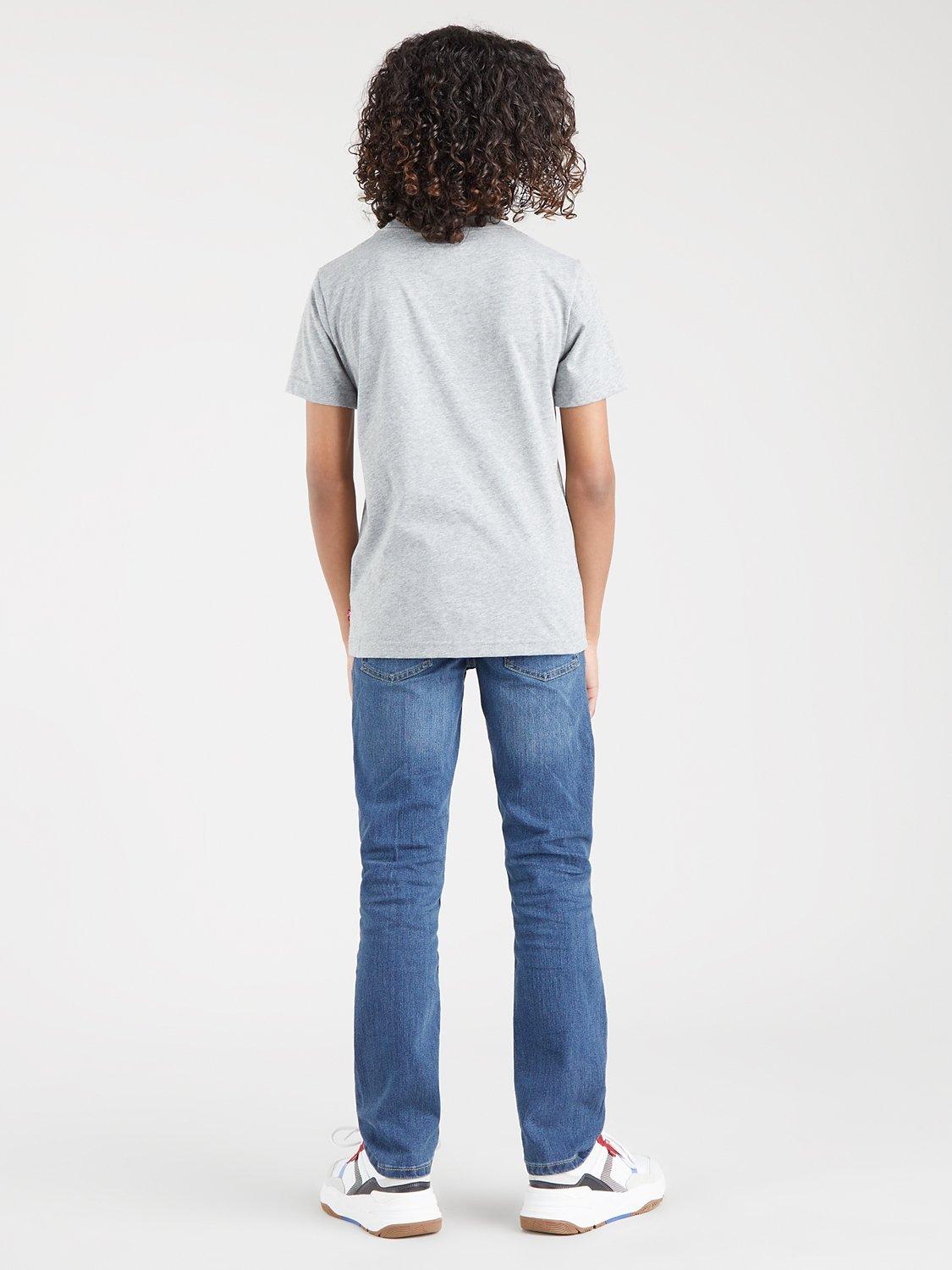 Product image 2 of 4, which shows Levi's Kids' Short Sleeve Batwing Logo T-Shirt, Grey, 12 years