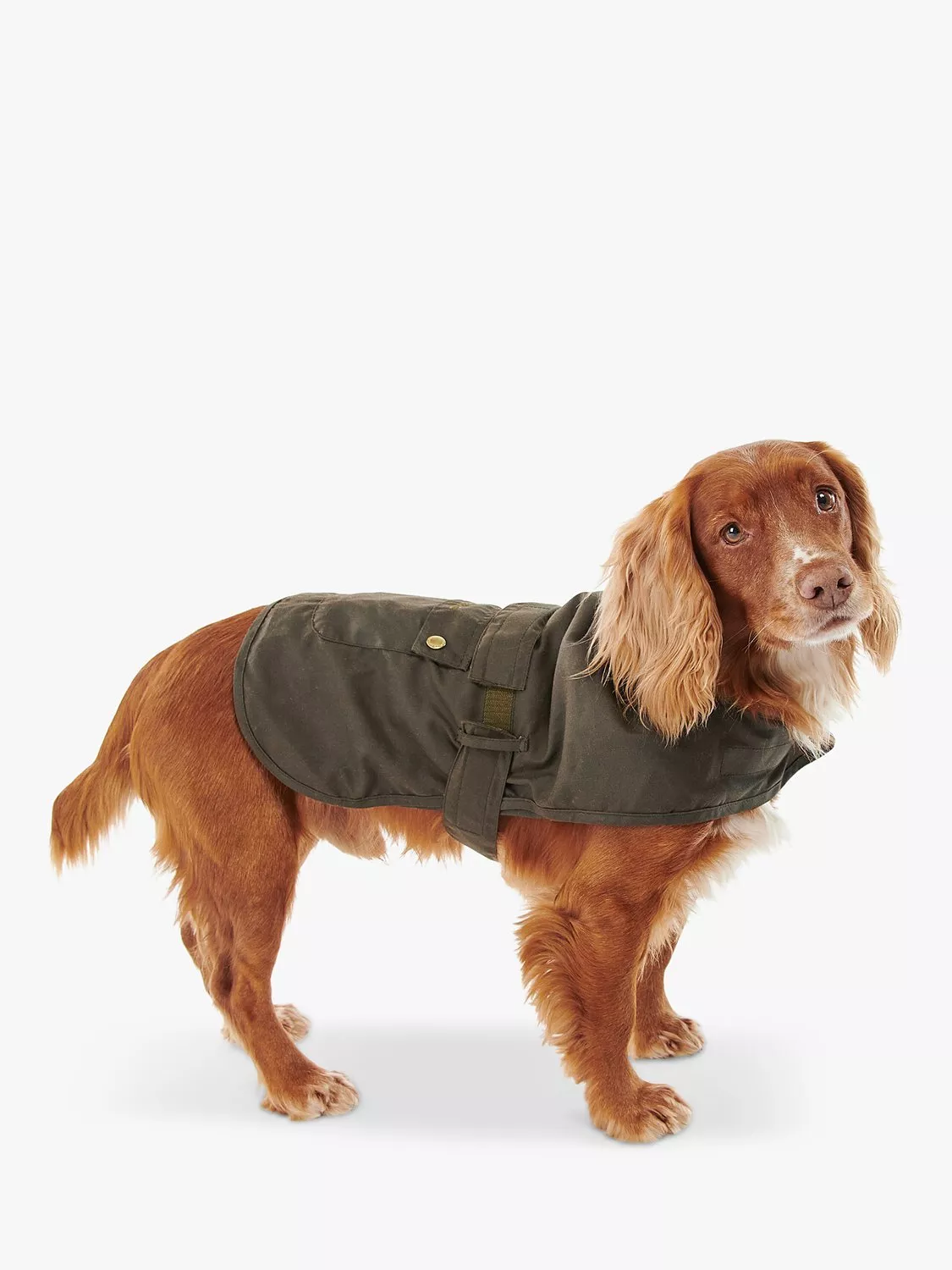 Barbour 2 in 1 Wax Dog Coat Olive