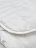 The Fine Bedding Company Boutique Silk Duvet, 13.5 Tog