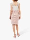 Phase Eight Faith Contrast Lace Dress