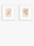 EAST END PRINTS Violet Studio 'Soft Leaves I & II' Framed Print, Set of 2