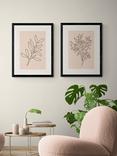 EAST END PRINTS Violet Studio 'Soft Leaves I & II' Framed Print, Set of 2