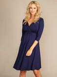 Tiffany Rose Willow Maternity Dress