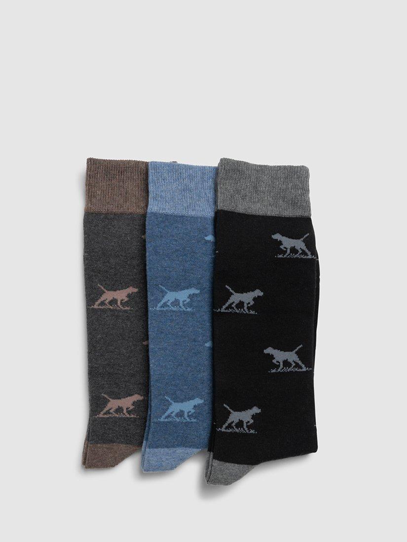 Product image 1 of 3, which shows Rodd & Gunn Dogs-A-Plenty Cotton Socks, Pack of 3, Earth Multi, L