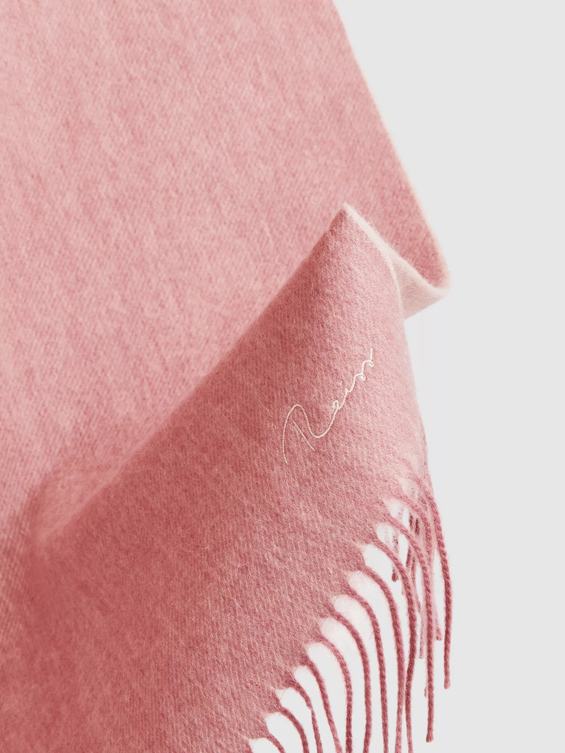 Blush  - Out of stock