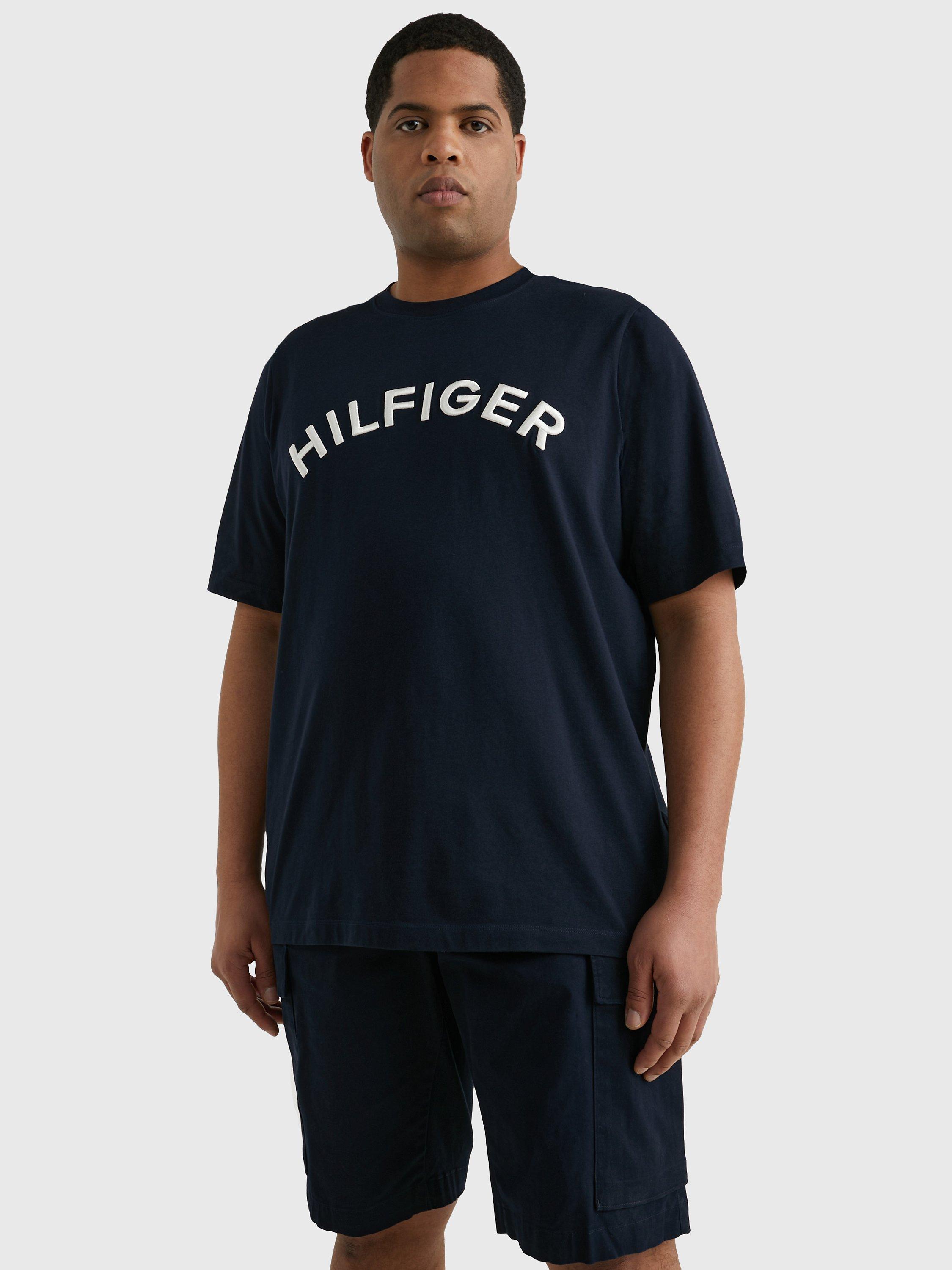 Tommy Hilfiger Big & Tall Arched Logo T-shirt, Desert Sky