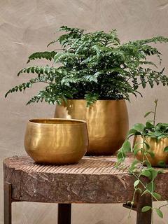 Nkuku Atsu Brass Planter, Small