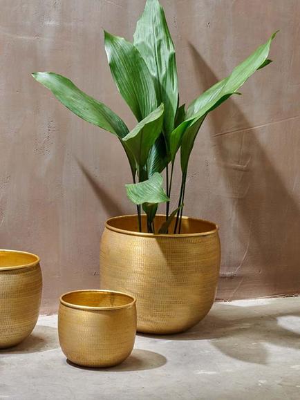 nkuku Tembesi Planter, Antique Brass