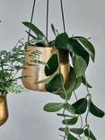 Nkuku Atsu Hanging Brass Planter