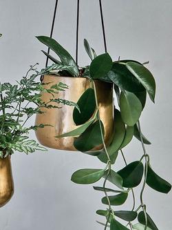 Nkuku Atsu Hanging Brass Planter, Antique Brass