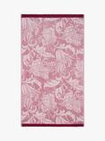 Ted Baker Baroque Towels
