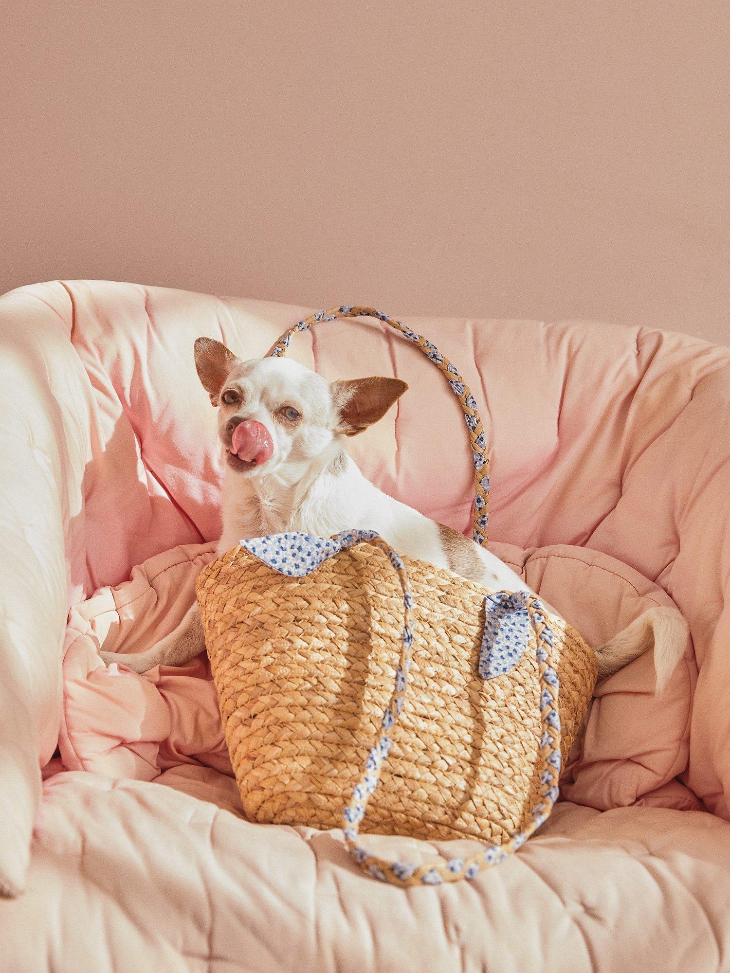 Product image 2 of 6, which shows Mango Frida Woven Straw Handbag, Natural, One Size