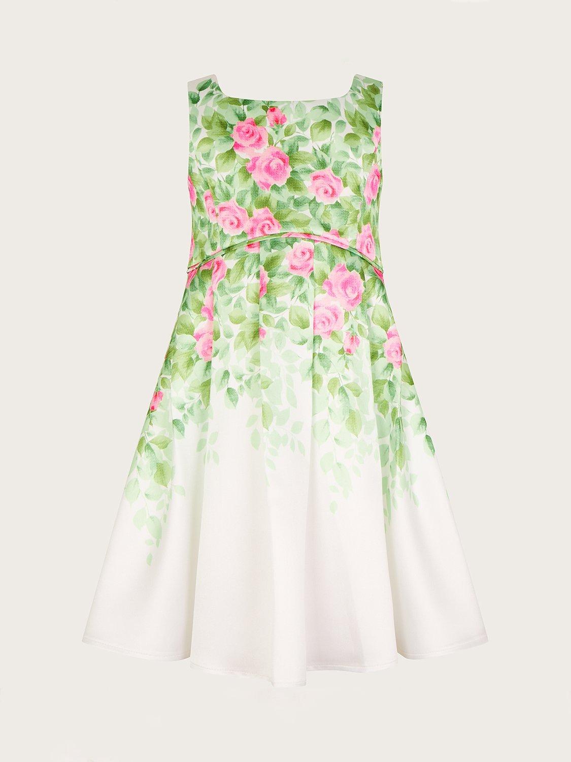 Monsoon Botanical Print Rose Duchess Dress, Ivory