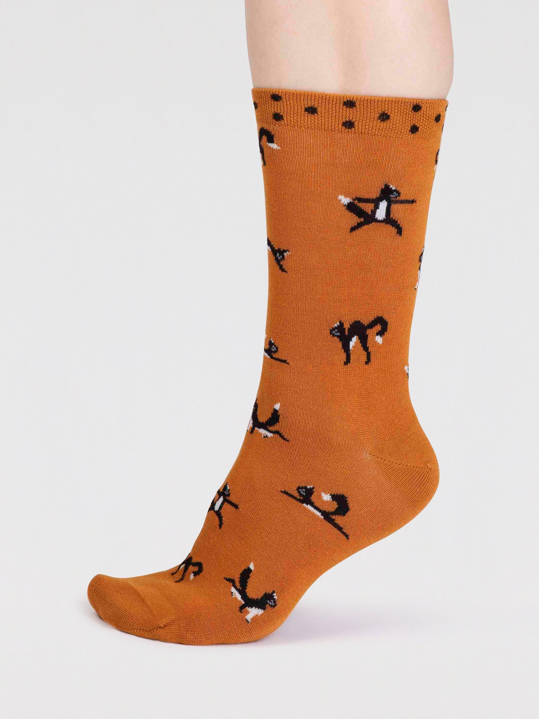 Thought Cats Sock, Pack of 3, Multi
