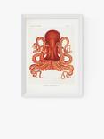 EAST END PRINTS Natural History Museum 'Octopus' Framed Print