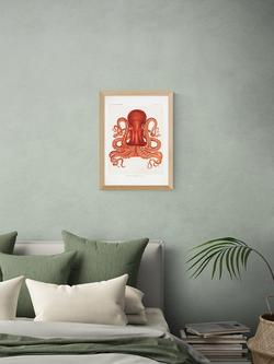 EAST END PRINTS Natural History Museum 'Octopus' Framed Print - view 2, Oak Frame