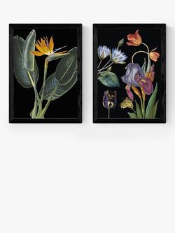 EAST END PRINTS Natural History Museum 'Dark Floral' Framed Print, Set of 2, Black Frame