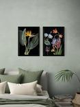 EAST END PRINTS Natural History Museum 'Dark Floral' Framed Print, Set of 2