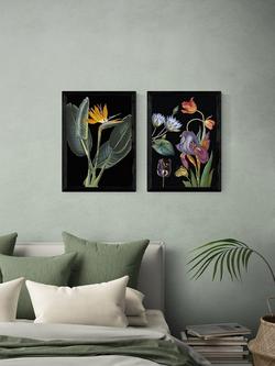 EAST END PRINTS Natural History Museum 'Dark Floral' Framed Print, Set of 2 - view 2, Black Frame