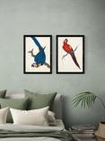 EAST END PRINTS Natural History Museum 'Parrots' Framed Print, Set of 2