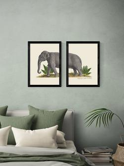 EAST END PRINTS Natural History Museum 'Elephant' Framed Print, Set of 2 - view 2, Black Frame