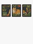 EAST END PRINTS Natural History Museum 'Tiger' Framed Print, Set of 3