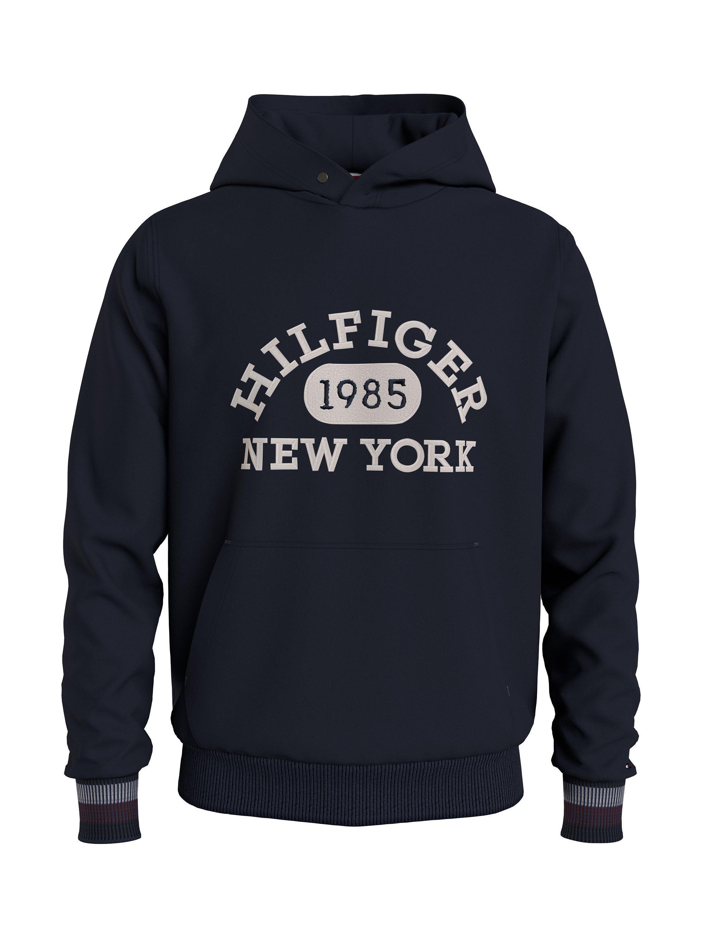 Tommy Hilfiger Big & Tall Collegiate Hoody, Desert Sky