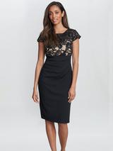 Phase Eight Donna Draped V-Back Dress