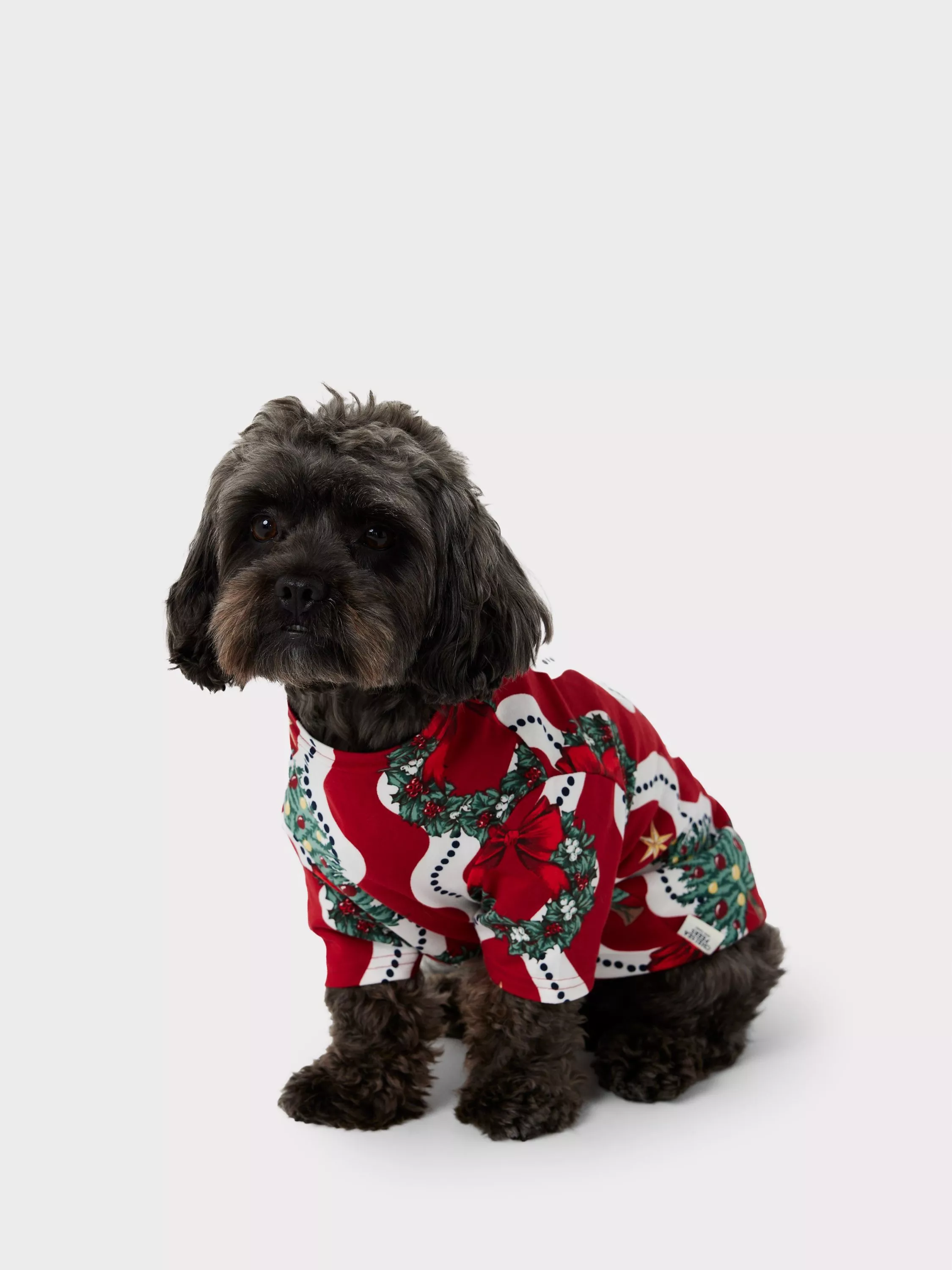 Chelsea peers dog pjs sale